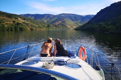 FEEL THE NATURE CRUISE