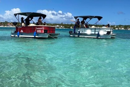 Charter Boat without licence  Arvor  Trading Smaetliner Pontoon 180 Saint-Francois