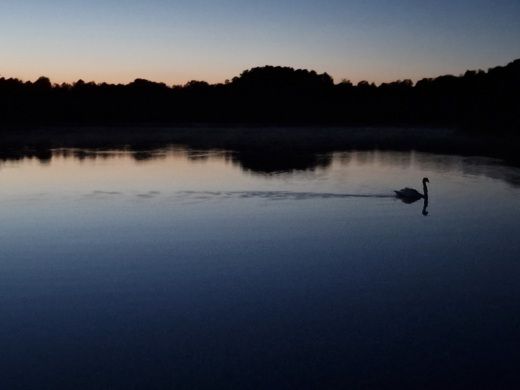 Landkreis Mecklenburgische Seenplatte Houseboat Nautilus Nautino Maxi alt tag text