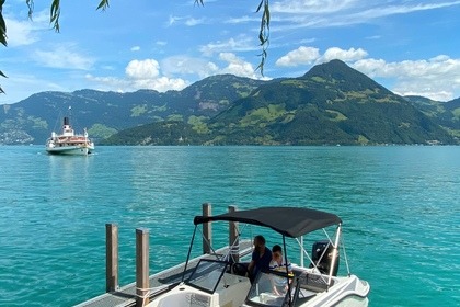 Miete Motorboot Bayliner Element M17 Vierwaldstättersee