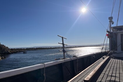 VOILIER DE CARACTERE