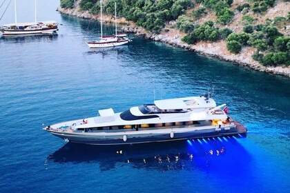 Ultra Luxury Superyacht B71!