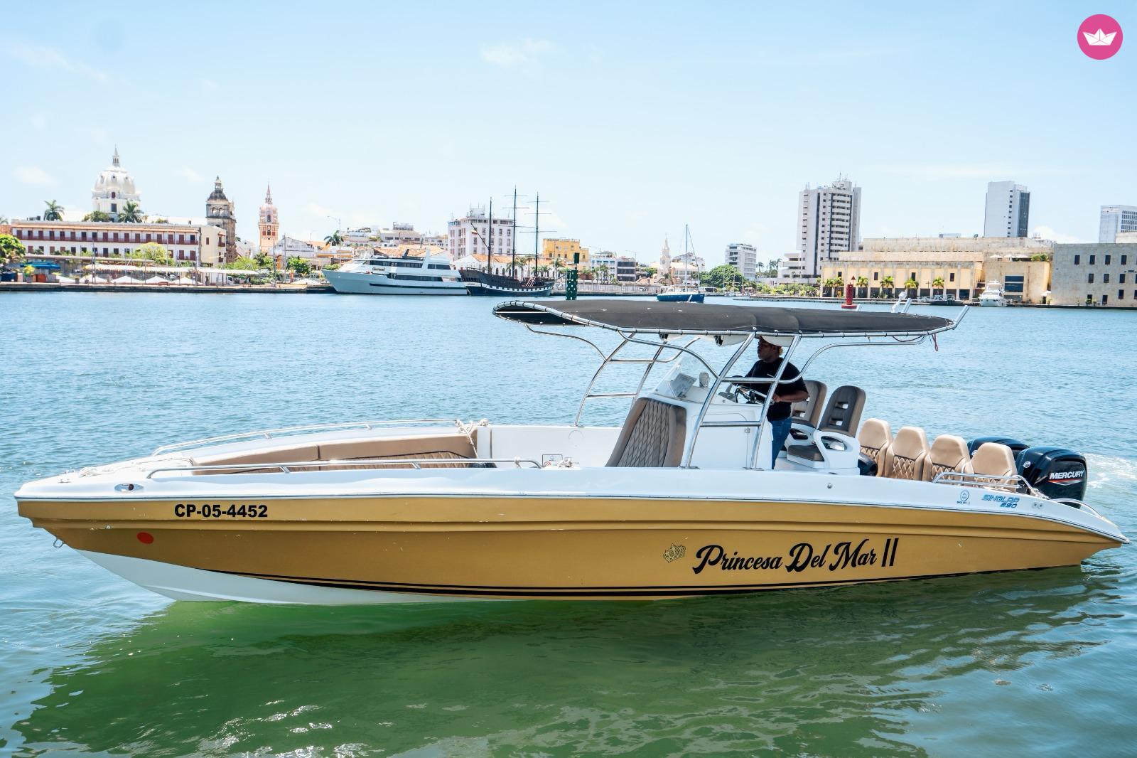 Bateau à moteur Singlar