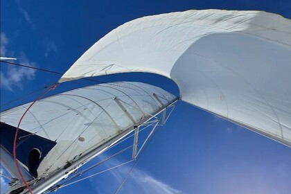 Explore the Caribbean in Style with the Lavezzi 40 Catamaran!