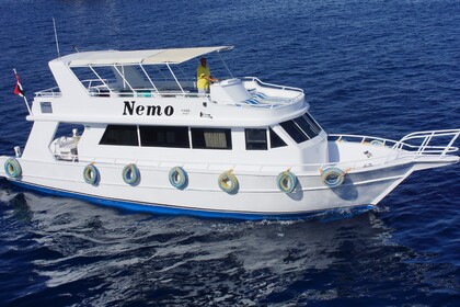 Hire Motor yacht Daily Yachts Shipyard Customized Sharm El-Sheikh