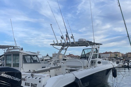 Hire Motorboat Wellcraft Scarab 30 Budva