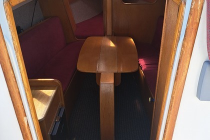 Janmor 28 sy Palomino Zalew wiślany.