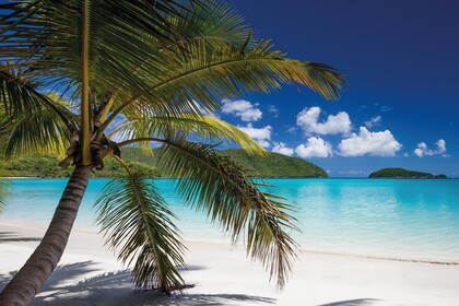 Les Grenadines en voilier d'exception