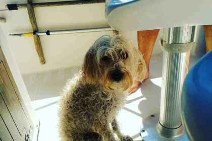 Charter Motorboat Nautica Mingolla Brava 22 open San Foca