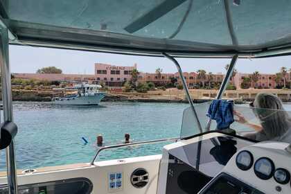 Bahri Charters  - power boat daily cruise