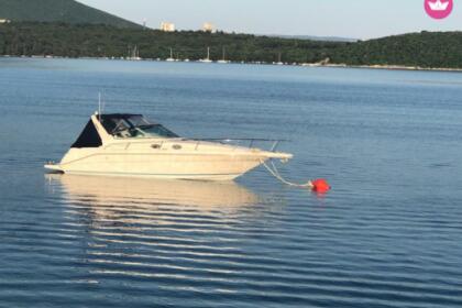 Miete Motorboot Sea Ray W310 Rakalj