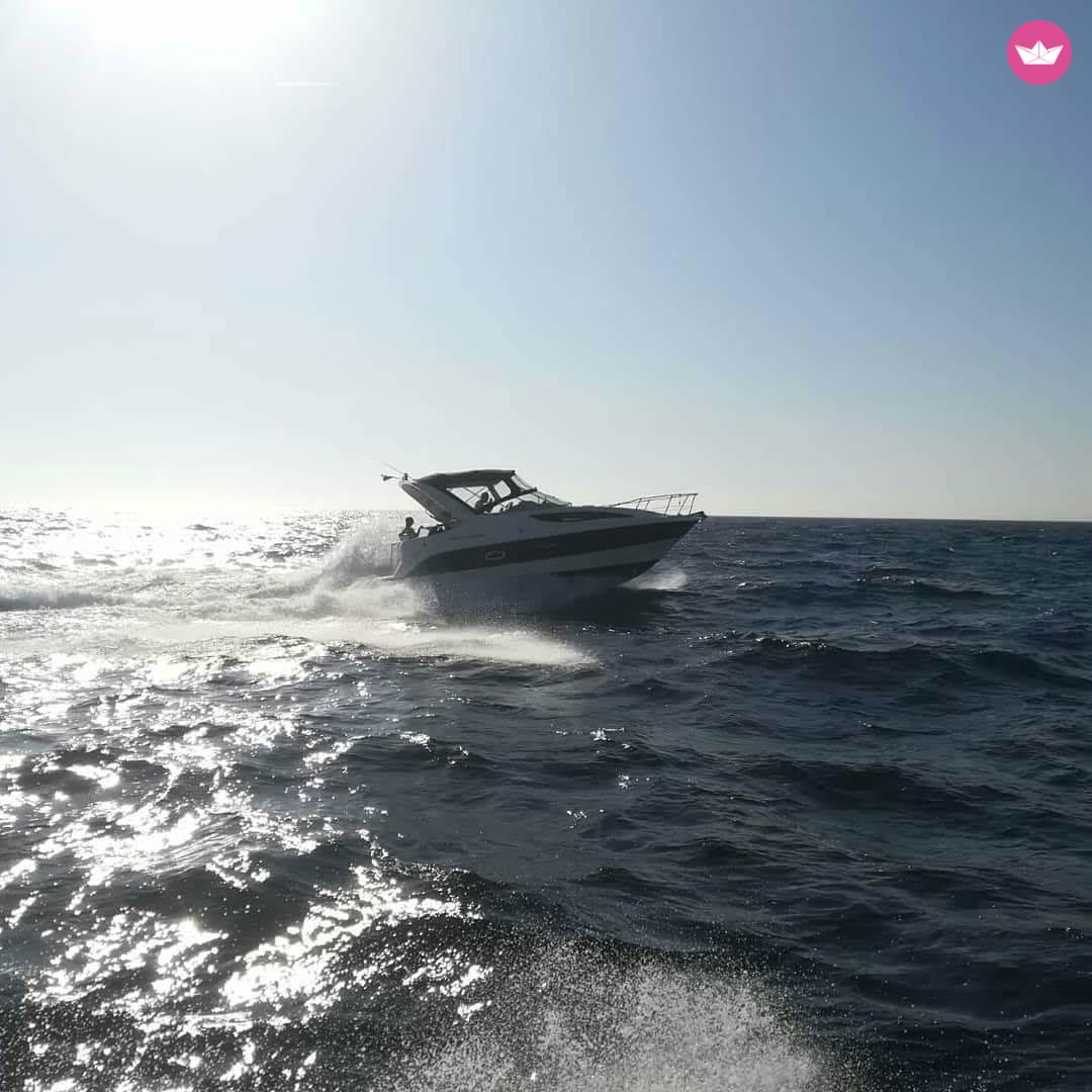 Motorboat Bayliner 285 Ciera Cruiser for hire