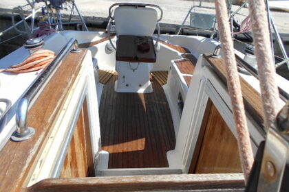 Cruiser 34