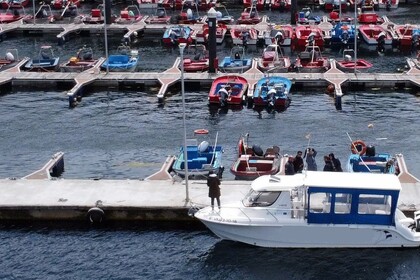 Alquiler Lancha Graünner 799 Villagarcía de Arosa