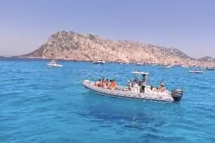 Miete RIB Nuova Jolly King 750 Rs Olbia