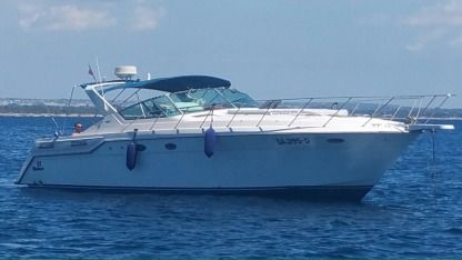 Charter Motorboat Wellcraft 43 Portofino Gallipoli