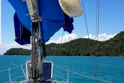 Entdecken Sie neue Ufer auf Ihrem Segelboot 30.3 i