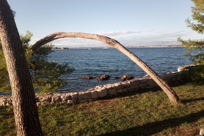 PrivateTour with  9 meters traditional Wood boat