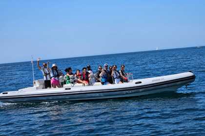 Aluguel Semi Rígido Hydrosport 900 Sesimbra