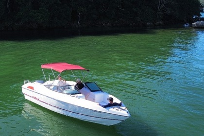 Rental Motorboat Cobra Cayman Pôrto Belo