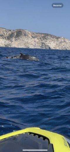 Santa Eulalia del Río Jet Ski Seadoo GTI alt tag text