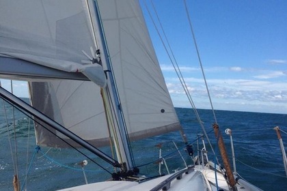 Dufour 34 E Performance