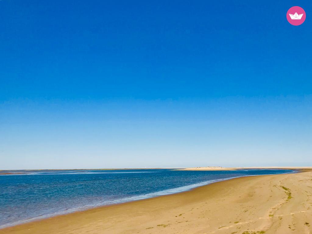 Cranchi Mediterranee 41 in Faro District for hire