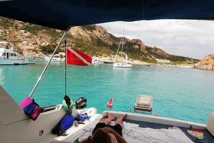 ALL INCLUSIVE Bruno Abate Primatist 42