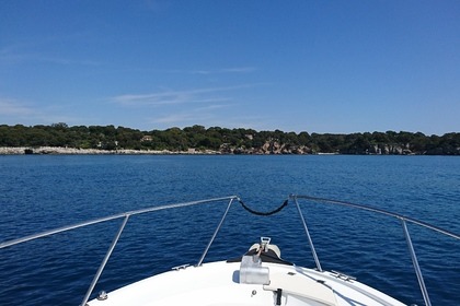 BAYLNER TROPHY 2052 WA PRO