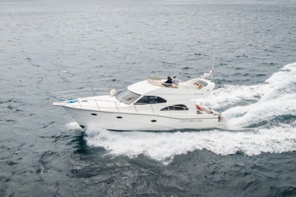 Rental Motorboat Rodman 41 Horta