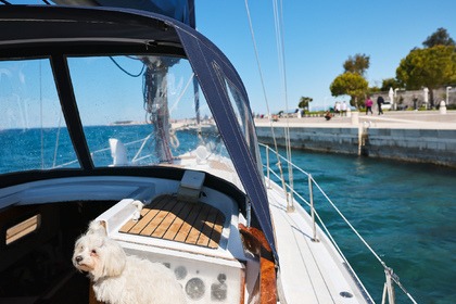 Chris Craft Caribbean 35