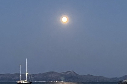 Noleggio Barca a motore Chaparral 270 Signature Puerto de Alcudia
