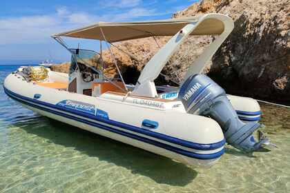 Location Semi-rigide Capelli Tempest 770 La Seyne-sur-Mer