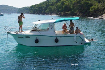 Miete Motorboot ARAUSA 25 (ONLY 4 HOUR TOURS) Zadar
