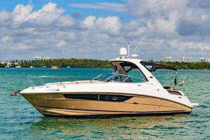 Charter Motorboat SEARAY 310 North Miami Beach