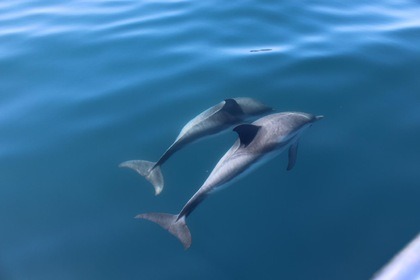 Aquabat Sport Infinity 21