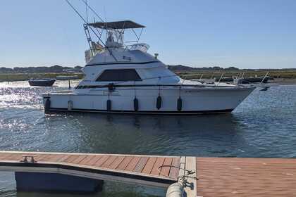 Miete Motorboot Bertram 37 Playa Blanca