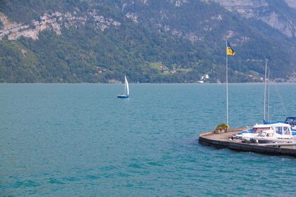 Shamrock 9.5 - RegattaYacht