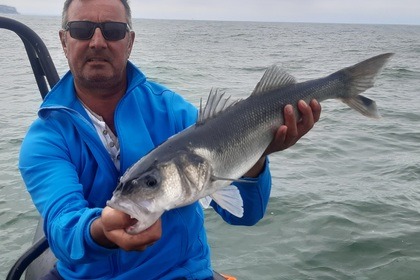 Zodiac SRMN 7,30 / Moteur 200CV