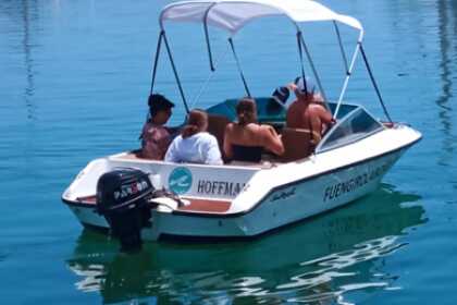 Charter Motorboat Sea Ray 160 Fuengirola