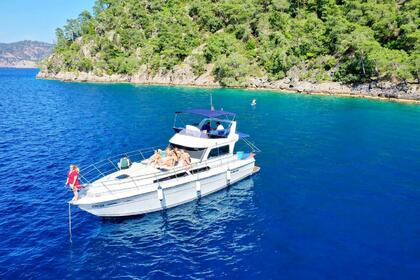 Hire Motorboat Sea Ray 300 Fethiye