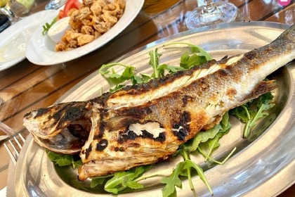 Insidias Fly 200 HP- FREE FUEL AND SKIPPER