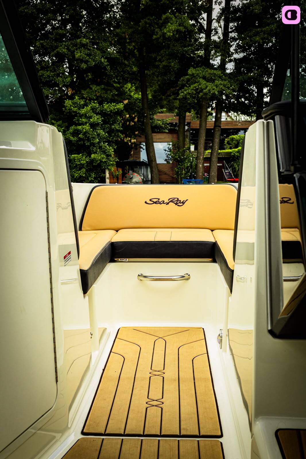 Bateau à moteur Sea Ray 210 250cv 5