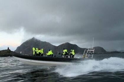 Hyra båt RIB-båt Tornado 9.5 Oslo