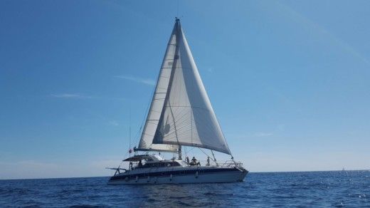 quasar 50 catamaran