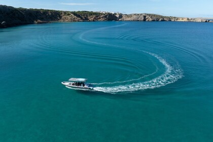 Location Semi-rigide Hydrosport RIB 909 VFI Port d'Addaia