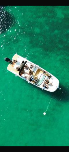 Motorboat Sea Ray 250 SDX boat plan