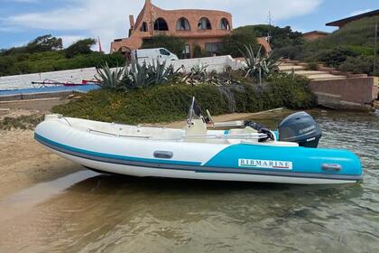 RIB Marine 535 - without license