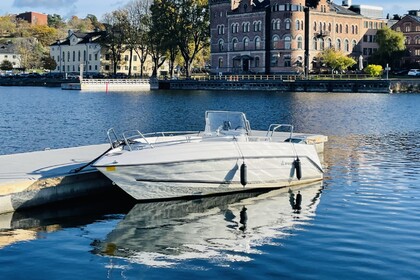 Rental Motorboat Ryds 550 GTS Stockholm