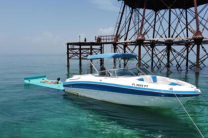 Rental Motorboat 24' BLUE SENSATIONAL Miami